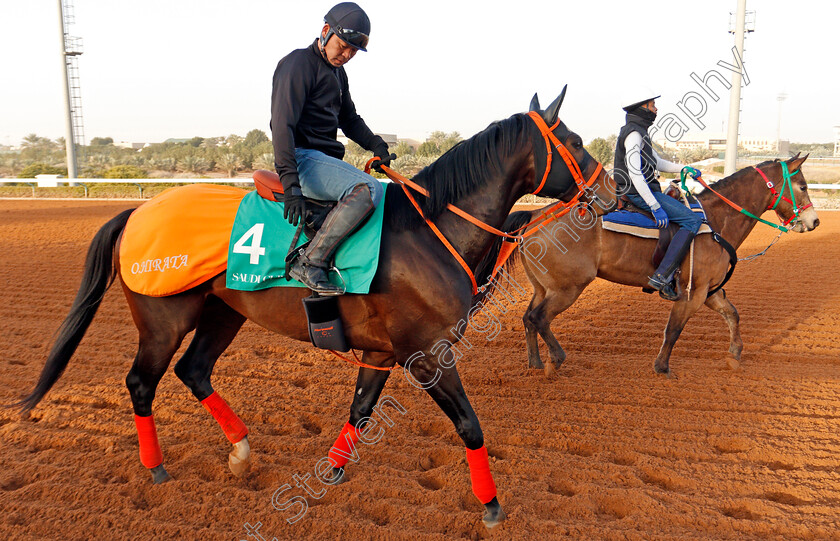 Gold-Dream-0001 
 GOLD DREAM preparing for the Saudi Cup
Riyadh Racetrack, Kingdom Of Saudi Arabia, 27 Feb 2020 - Pic Steven Cargill / Racingfotos.com