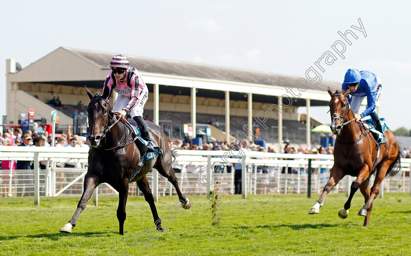 Chichester-0004 
 CHICHESTER (Richard Kingscote) wins The Seat Unique Ganton Stakes
York 16 Jun 2023 - Pic Steven Cargill / Racingfotos.com