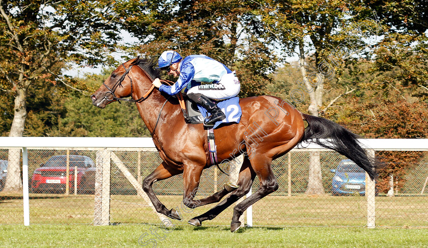 Stormwave-0004 
 STORMWAVE (Harry Bentley) wins The PKF Francis Clark EBF Novice Stakes Div2
Salisbury 3 Oct 2018 - Pic Steven Cargill / Racingfotos.com