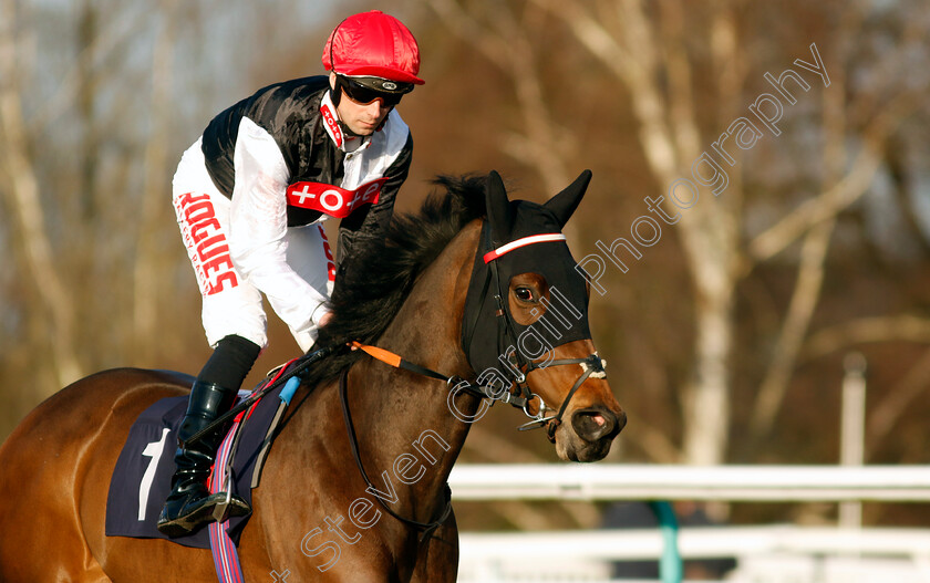 Purple-Ribbon-0001 
 PURPLE RIBBON (Jack Mitchell)
Lingfield 21 Jan 2023 - Pic Steven Cargill / Racingfotos.com