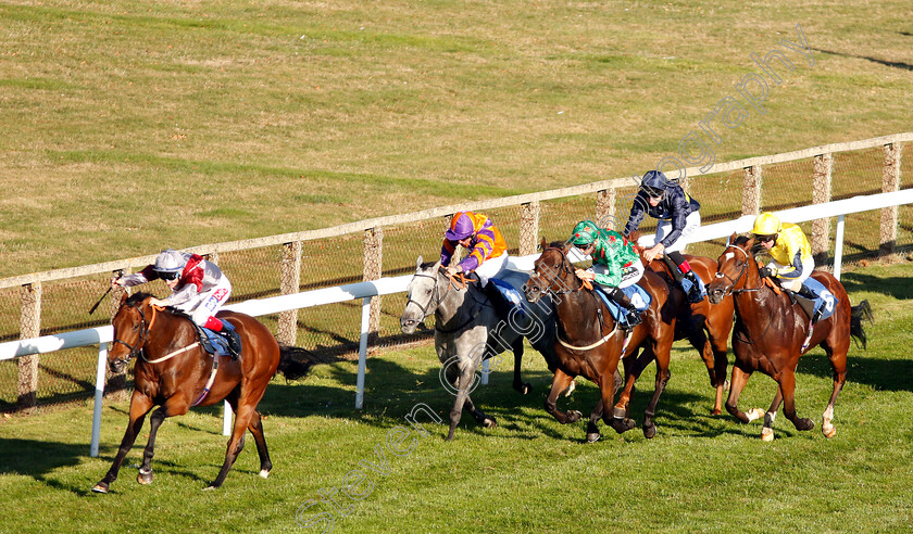 Beyond-Equal-0001 
 BEYOND EQUAL (Fran Berry) wins The Booker Ltd Handicap
Salisbury 3 Oct 2018 - Pic Steven Cargill / Racingfotos.com