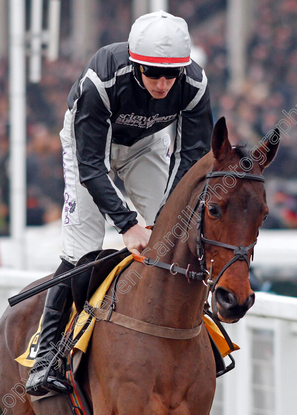 Rowland-Ward-0002 
 ROWLAND WARD (Ciaran Gethings)
Cheltenham 25 Jan 2020 - Pic Steven Cargill / Racingfotos.com