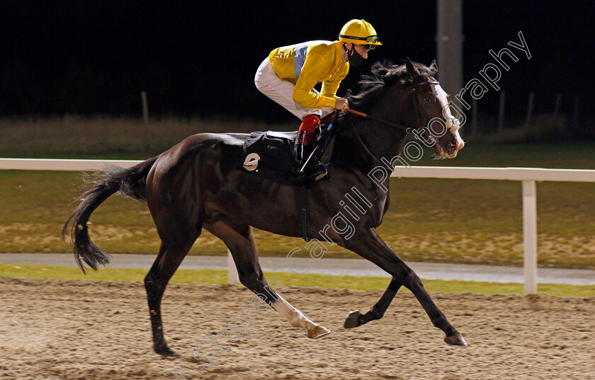 Seven-Pockets-0001 
 SEVEN POCKETS (David Egan)
Chelmsford 8 Oct 2020 - Pic Steven Cargill / Racingfotos.com