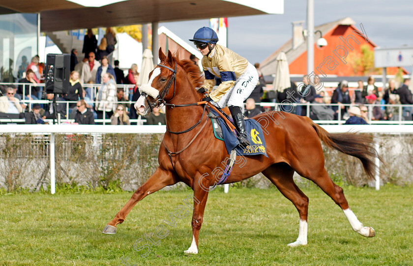 Manitou-0009 
 MANITOU (Hollie Doyle) winner of The Appel Au Maitre Svealandlopning
Bro Park, Sweden 18 Sep 2022 - Pic Steven Cargill / Racingfotos.com