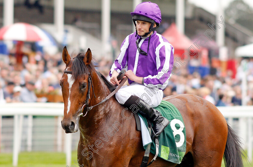 Japan-0013 
 JAPAN (Ryan Moore) after The Juddmonte International Stakes
York 21 Aug 2019 - Pic Steven Cargill / Racingfotos.com