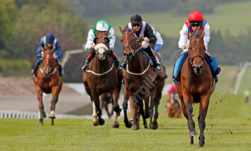 Sparte-Quercus-0002 
 SPARTE QUERCUS (Franny Norton) wins The Andrea And Martin Big Wedding Day Handicap Chepstow 6 Sep 2017 - Pic Steven Cargill / Racingfotos.com