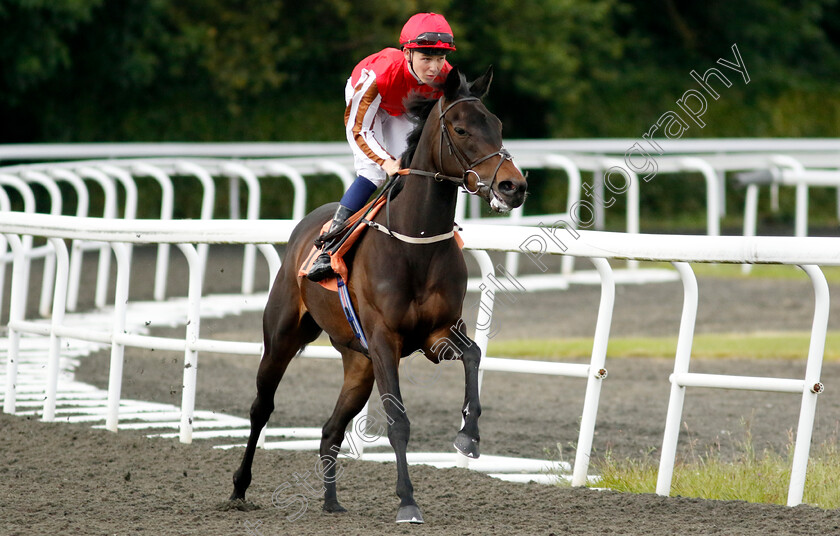 Warbler-0003 
 WARBLER (Billy Loughnane)
Kempton 12 Jun 2024 - Pic Steven Cargill / Racingfotos.com