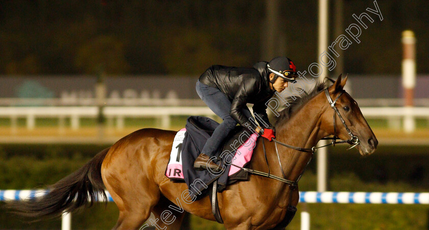 Irwin-0001 
 IRWIN training for The UAE Derby
Meydan, Dubai, 24 Mar 2022 - Pic Steven Cargill / Racingfotos.com