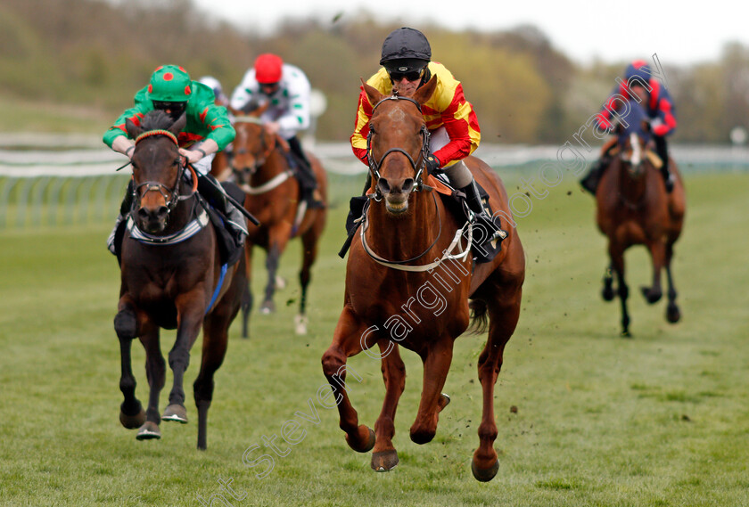 Sir-Ron-Priestley-0008 
 SIR RON PRIESTLEY (Franny Norton) wins The Mansionbet Barry Hill Further Flight Stakes
Nottingham 7 Apr 2021 - Pic Steven Cargill / Racingfotos.com