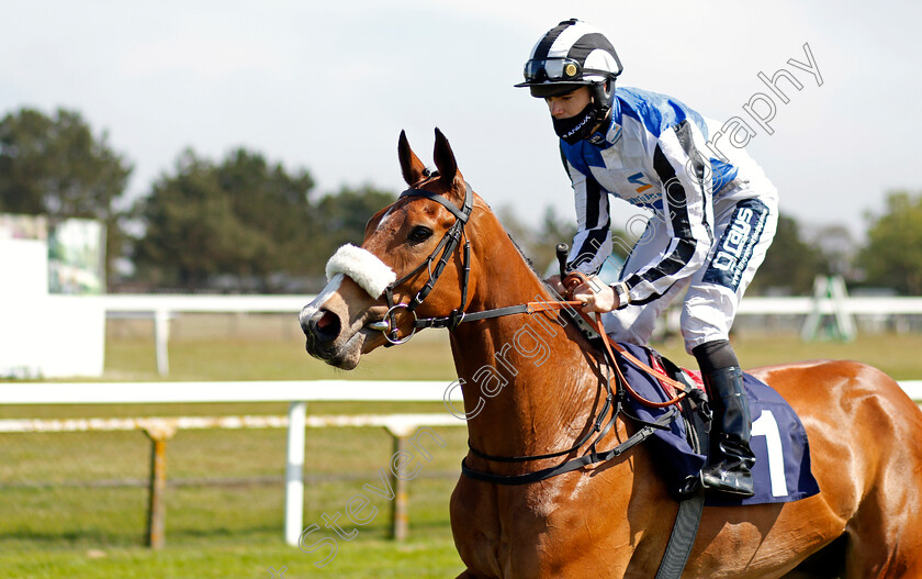 Let-Me-Be-0002 
 LET ME BE (Billy Garritty)
Yarmouth 19 May 2021 - Pic Steven Cargill / Racingfotos.com