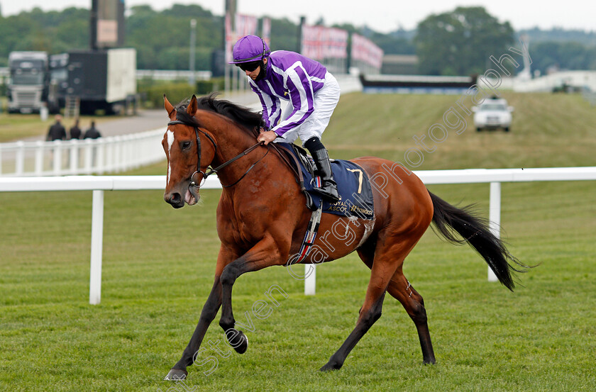 Japan-0001 
 JAPAN (Wayne Lordan)
Ascot 19 Jun 2021 - Pic Steven Cargill / Racingfotos.com