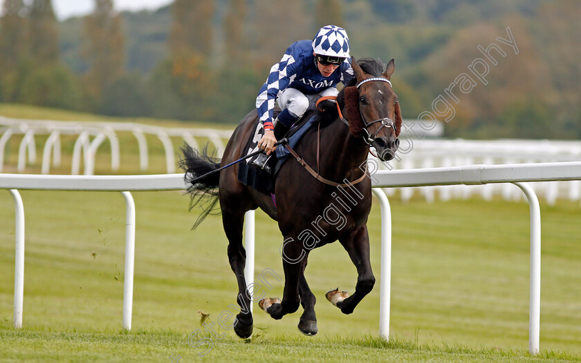 Blakeney-Point-0004 
 BLAKENEY POINT (Kieran Shoemark) wins The Dubai Duty Free Handicap Newbury 22 Sep 2017 - Pic Steven Cargill / Racingfotos.com