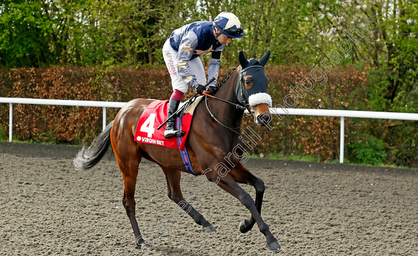 Marcella-0001 
 MARCELLA (Oisin Murphy)
Kempton 6 Apr 2024 - Pic Steven Cargill / Racingfotos.com