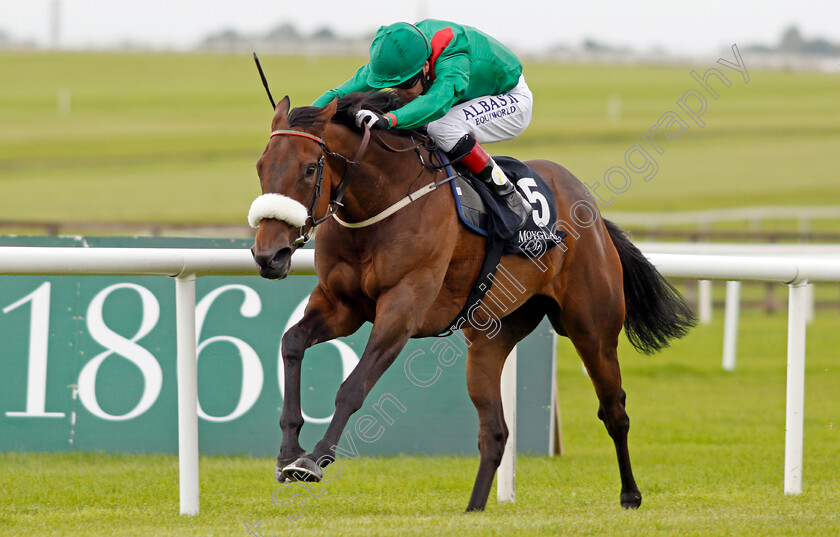 Shamreen-0004 
 SHAMREEN (Pat Smullen) wins The Moyglare Jewels Blandford Stakes Curragh 10 Sep 2017 - Pic Steven Cargill / Racingfotos.com