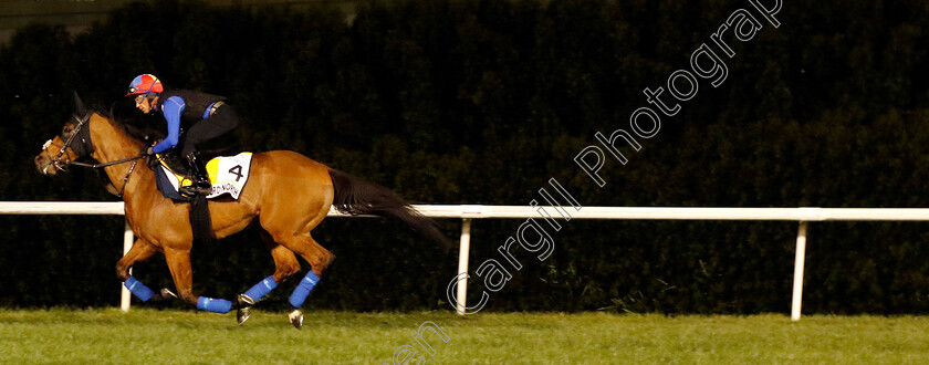 Lord-North-0002 
 LORD NORTH training for the Dubai Turf
Meydan, Dubai, 23 Mar 2023 - Pic Steven Cargill / Racingfotos.com