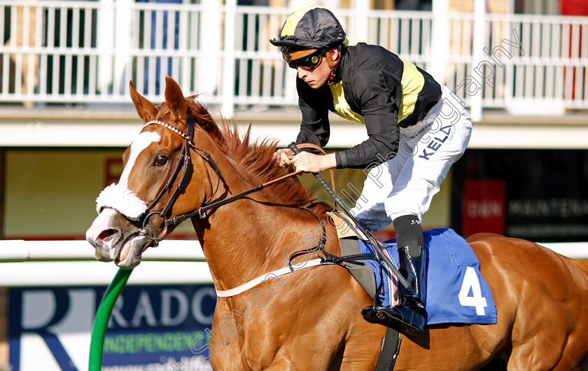 Whimsy-0008 
 WHIMSY (Jason Watson) wins The Kevin Hall & Pat Boakes Memorial Handicap
Salisbury 11 Aug 2022 - Pic Steven Cargill / Racingfotos.com