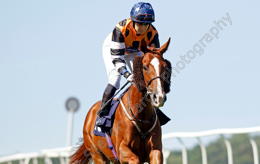 Miss-Metropolitan 
 MISS METROPOLITAN (Georgia Dobie)
Chepstow 27 May 2022 - Pic Steven Cargill / Racingfotos.com