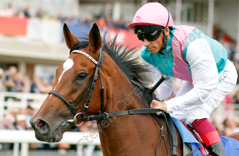 Enable-0004 
 ENABLE (Frankie Dettori) before The Darley Yorkshire Oaks
York 22 Aug 2019 - Pic Steven Cargill / Racingfotos.com