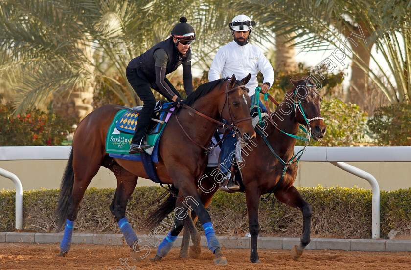 Country-Grammer-0009 
 COUNTRY GRAMMER training for The Saudi Cup
King Abdulaziz Racecourse, Kingdom Of Saudi Arabia, 23 Feb 2023 - Pic Steven Cargill / Racingfotos.com