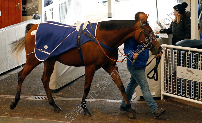 Lot-0087-Temple-Gate-£5000-0001 
 Lot 087 TEMPLE GATE selling for £5000 at Tattersalls Ireland Ascot November Sale 9 Nov 2017 - Pic Steven Cargill / Racingfotos.com