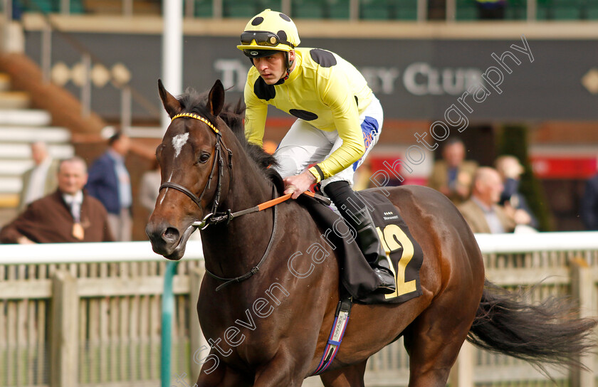 Inisherin-0002 
 INISHERIN (Clifford Lee)
Newmarket 28 Sep 2023 - Pic Steven Cargill / Racingfotos.com