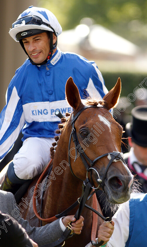 Cleonte-0008 
 CLEONTE (Silvestre De Sousa) after The Queen Alexandra Stakes
Royal Ascot 22 Jun 2019 - Pic Steven Cargill / Racingfotos.com