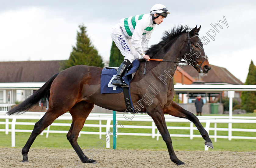 Arriviste-0002 
 ARRIVISTE (Luke Morris)
Lingfield 1 Dec 2021 - Pic Steven Cargill / Racingfotos.com