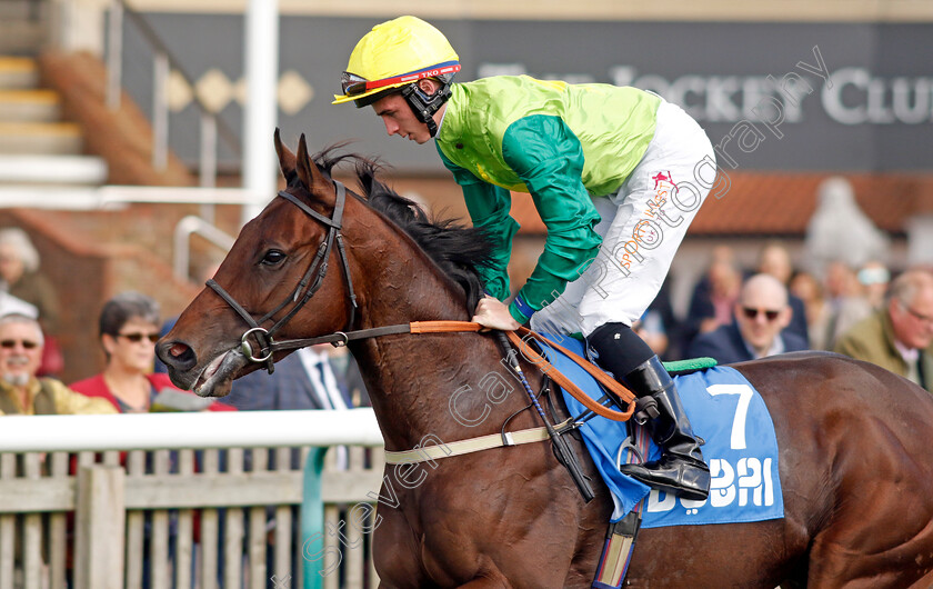 Metal-Merchant-0001 
 METAL MERCHANT (Rossa Ryan)
Newmarket 8 Oct 2022 - Pic Steven Cargill / Racingfotos.com