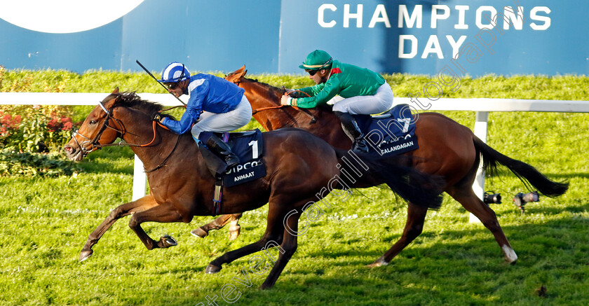 Anmaat-0001 
 ANMAAT (Jim Crowley) wins The Qipco Champion Stakes
Ascot 19 Oct 2024 - Pic Steven Cargill / Racingfotos.com