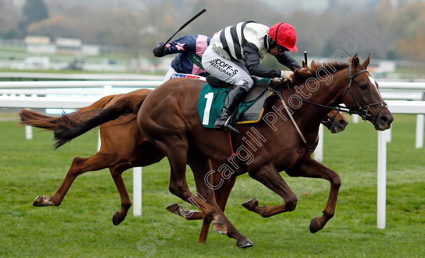 Count-Meribel-0003 
 COUNT MERIBEL (Mark Grant) wins The Steel Plate And Sections Novices Chase
Cheltenham 16 Nov 2018 - Pic Steven Cargill / Racingfotos.com