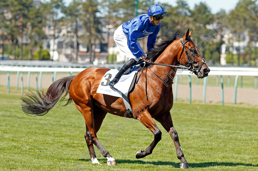 Naval-Crown-0003 
 NAVAL CROWN (James Doyle)
Deauville 7 Aug 2022 - Pic Steven Cargill / Racingfotos.com