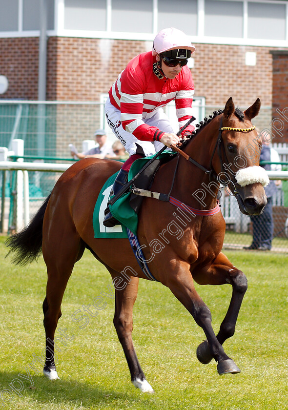 Mecca s-Gift-0001 
 MECCA'S GIFT (Amdrew Mullen)
Thirsk 4 Jul 2018 - Pic Steven Cargill / Racingfotos.com