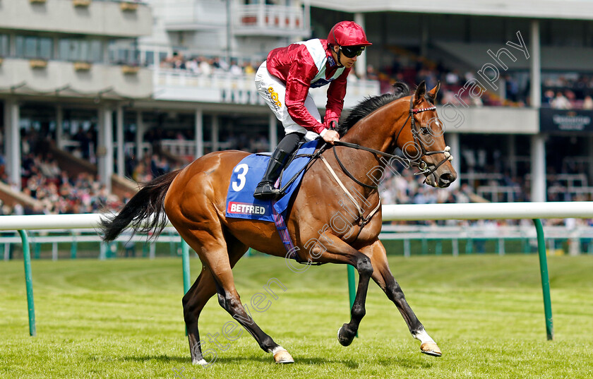 Jumby-0001 
 JUMBY (Charles Bishop)
Haydock 8 Jun 2024 - Pic Steven Cargill / Racingfotos.com