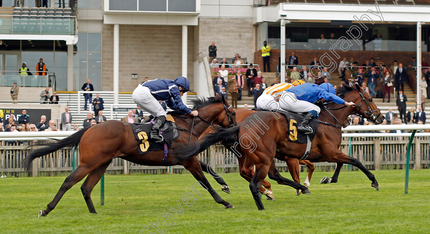 Stormy-Waves-0001 
 STORMY WAVES (William Buick) wins The Federation Of Bloodstock Agents Nursery
Newmarket 28 Sep 2023 - Pic Steven Cargill / Racingfotos.com