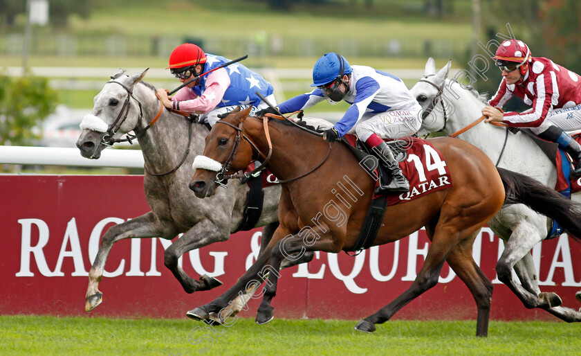 Hoggar-De-L Ardus-0003 
 HOGGAR DE L'ARDUS (left, Michael Barzalona) beats LADY PRINCESS (right) in The Qatar Arabian World Cup
Longchamp 3 Oct 2021 - Pic Steven Cargill / Racingfotos.com