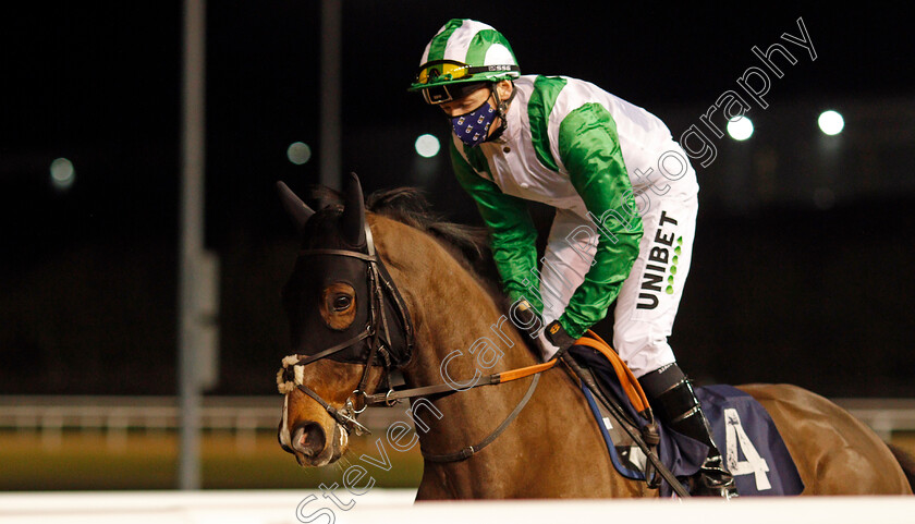 Mekong-0001 
 MEKONG (Jamie Spencer)
Wolverhampton 18 Jan 2021 - Pic Steven Cargill / Racingfotos.com