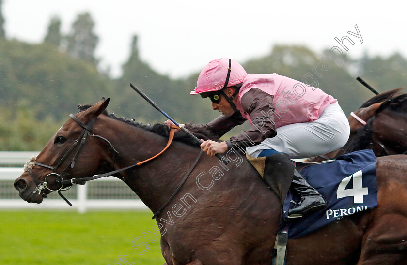 Cadmus-0001 
 CADMUS (William Buick) wins The Peroni Nastro Azzurro Novice Stakes
Ascot 30 Sep 2022 - Pic Steven Cargill / Racingfotos.com