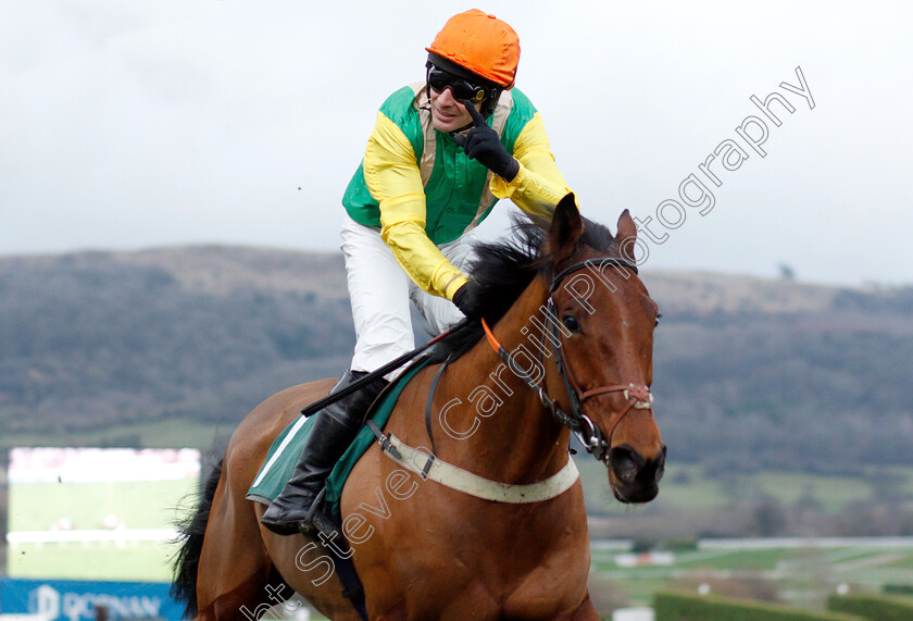 Midnight-Shadow-0007 
 MIDNIGHT SHADOW (Danny Cook) wins The Dornan Engineering Relkeel Hurdle
Cheltenham 1 Jan 2019 - Pic Steven Cargill / Racingfotos.com