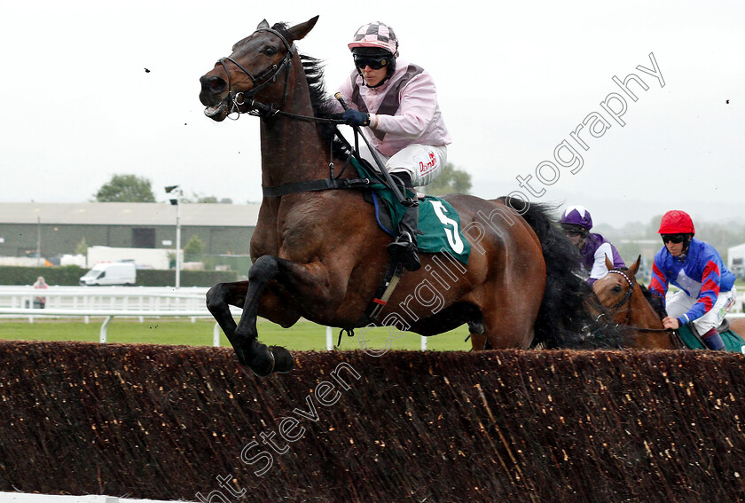 Marcle-Ridge-0001 
 MARCLE RIDGE (Sam Jukes) wins The KTDA Racing Open Hunters Chase
Cheltenham 3 May 2019 - Pic Steven Cargill / Racingfotos.com