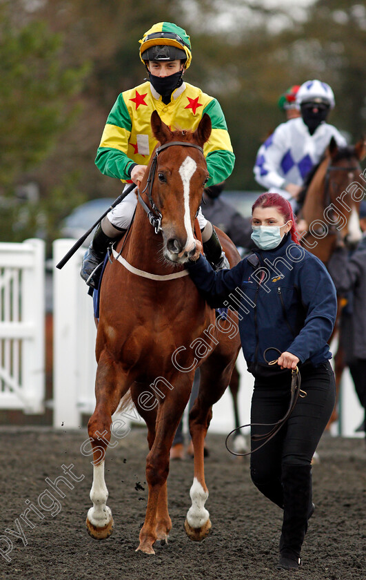 Havana-Lady-0001 
 HAVANA LADY (George Rooke)
Lingfield 19 Dec 2020 - Pic Steven Cargill / Racingfotos.com