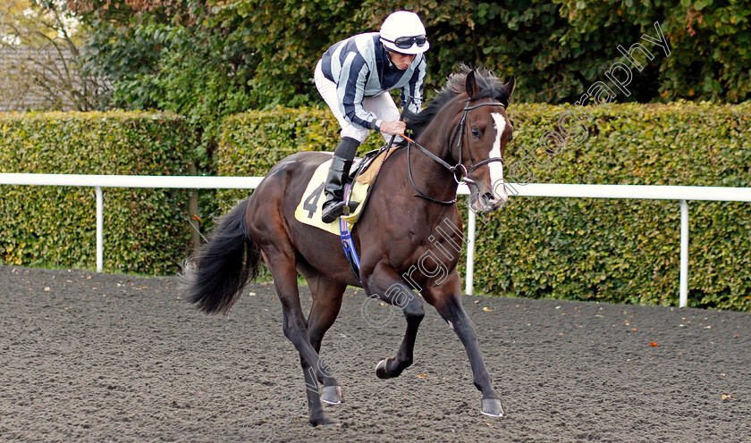 Mars-Landing-0001 
 MARS LANDING (Ryan Moore)
Kempton 9 Oct 2019 - Pic Steven Cargill / Racingfotos.com