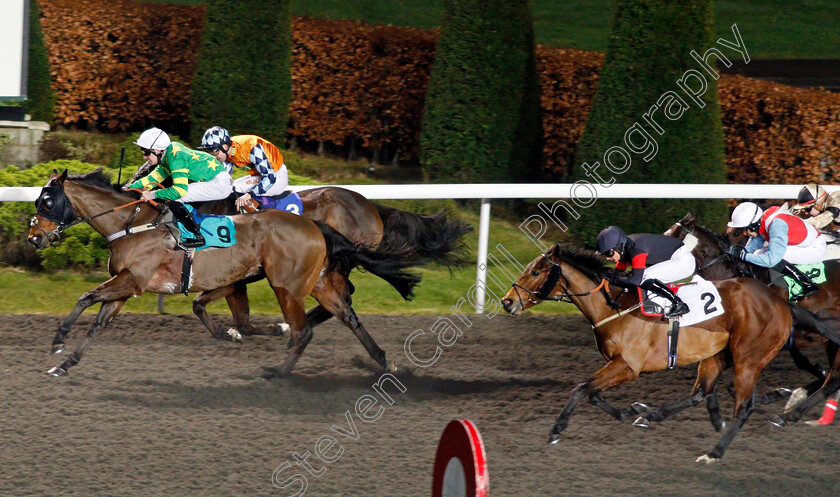 Bridge-Builder-0002 
 BRIDGE BUILDER (Charles Bishop) beats BERNIE'S BOY (right) in The 32Red.com Handicap Kempton 10 Jan 2018 - Pic Steven Cargill / Racingfotos.com