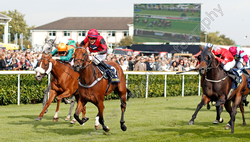 Oxted-0001 
 OXTED (Cieren Fallon) beats SHOW STEALER (left) and ARECIBO (right) in The William Hill Portland Handicap
Doncaster 14 Sep 2019 - Pic Steven Cargill / Racingfotos.com