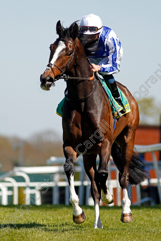 Winter-Reprise-0001 
 WINTER REPRISE (William Buick)
Sandown 23 Apr 2021 - Pic Steven Cargill / Racingfotos.com