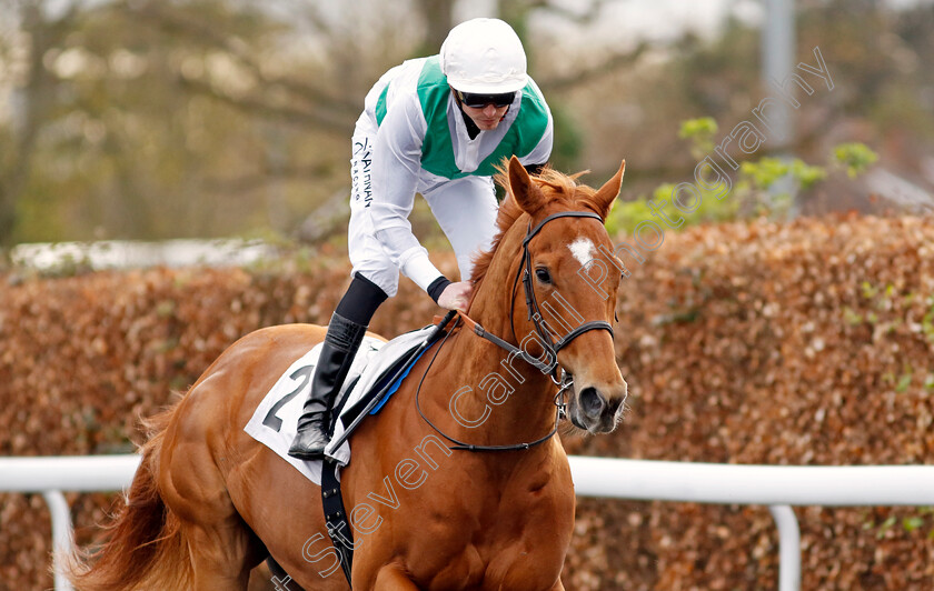 Mighty-Nebula-0007 
 MIGHTY NEBULA (James Doyle) winner of The Unibet More Boosts In More Races Maiden Stakes Div2
Kempton 3 Apr 2024 - Pic Steven Cargill / Racingfotos.com