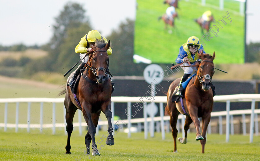 Terwada-0003 
 TERWADA (James Doyle) wins The Every Race Live On Racing TV Handicap
Newmarket 28 Jul 2023 - Pic Steven Cargill / Racingfotos.com