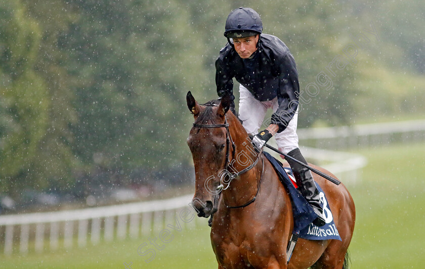 Never-Ending-Story-0001 
 NEVER ENDING STORY (Ryan Moore)
Newmarket 14 Jul 2023 - Pic Steven Cargill / Racingfotos.com