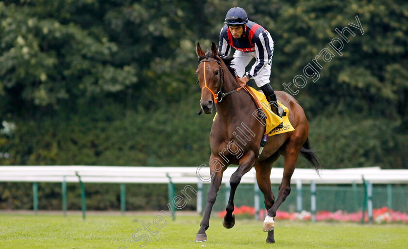 Happy-Romance-0003 
 HAPPY ROMANCE (Sean Levey)
Haydock 4 Sep 2021 - Pic Steven Cargill / Racingfotos.com