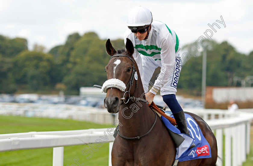 Sandrine 
 SANDRINE (David Probert)
York 20 Aug 2022 - Pic Steven Cargill / Racingfotos.com