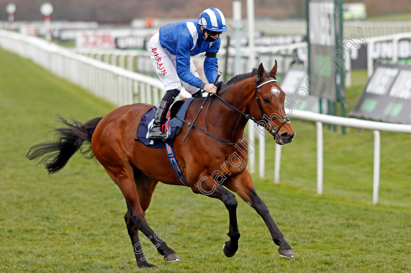 Taqareer-0002 
 TAQAREER (Robert Havlin)
Doncaster 28 Mar 2021 - Pic Steven Cargill / Racingfotos.com